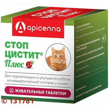 Лечение цистита у кошек