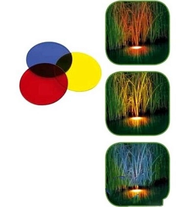 Фото_1