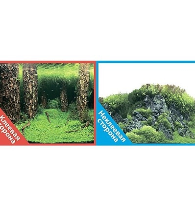 Фото_0