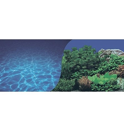 Фото_0