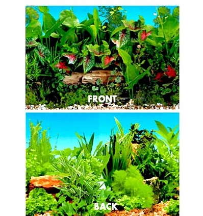 Фото_0