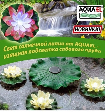 Фото_2