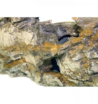 Фото_3