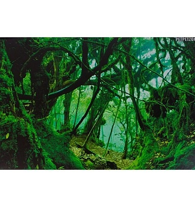 Фото_0