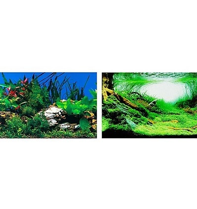 Фото_0