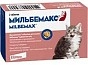 Мини_Фото_0