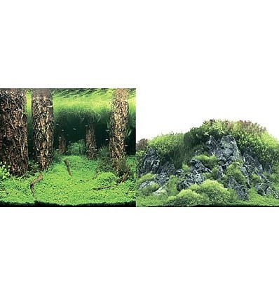 Фото_0