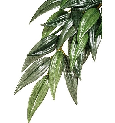 Фото_1