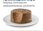 Мини_Фото_1