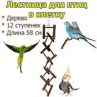 Изображение товара