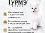Мини_Фото_2