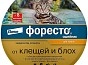 Мини_Фото_0