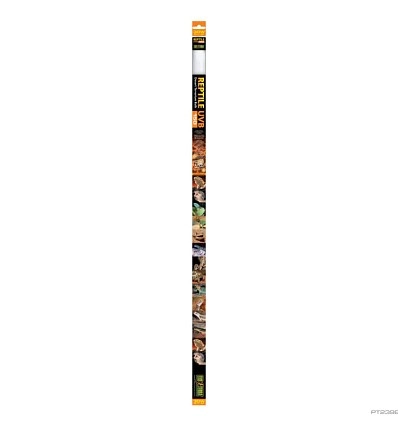 Фото_0