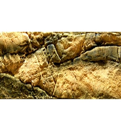 Фото_0