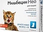 Мини_Фото_0