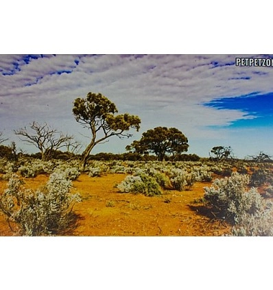 Фото_0