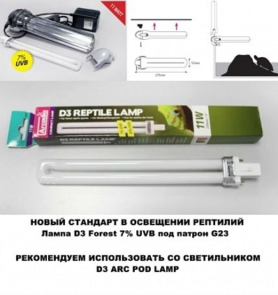 Фото_1