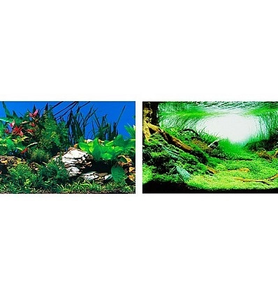 Фото_0