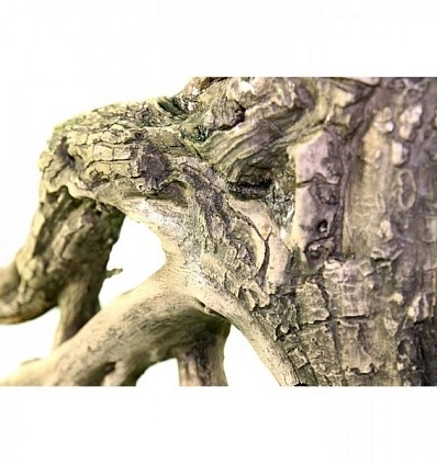 Фото_3