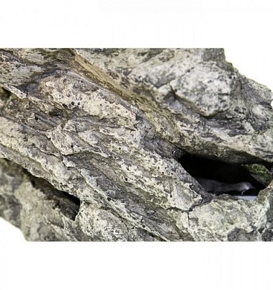 Фото_3