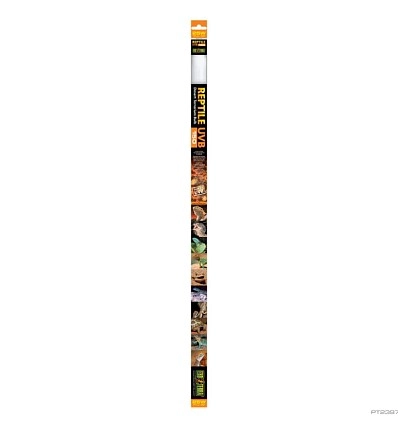 Фото_0