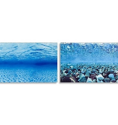Фото_0
