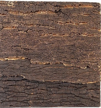 Фото_2
