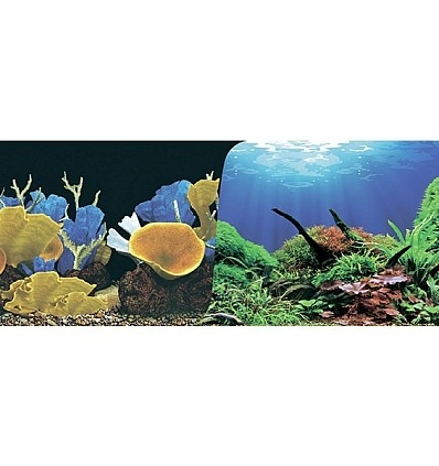 Фото_0