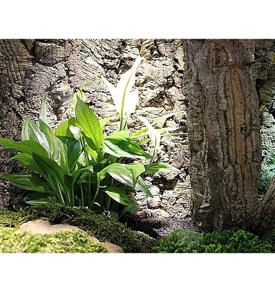 Фото_3