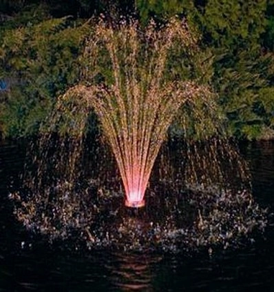 Фото_5