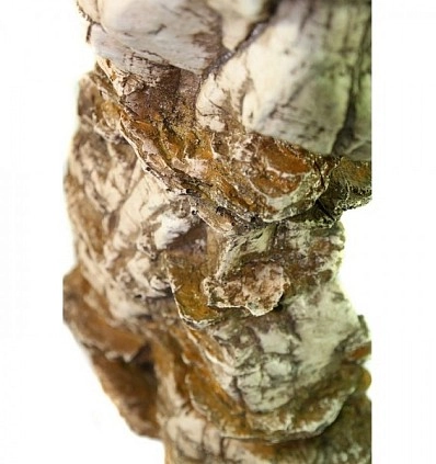 Фото_3
