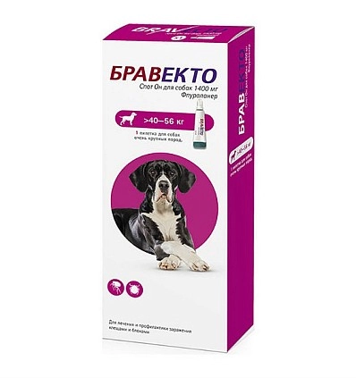 Фото_0