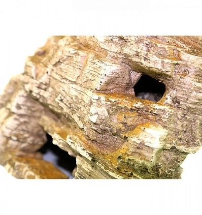 Фото_3