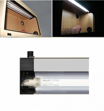Фото_2