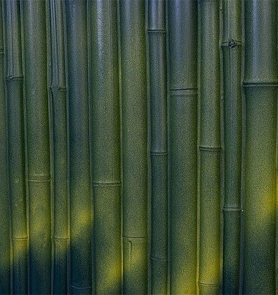 Фото_1