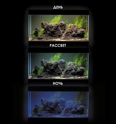 Фото_5