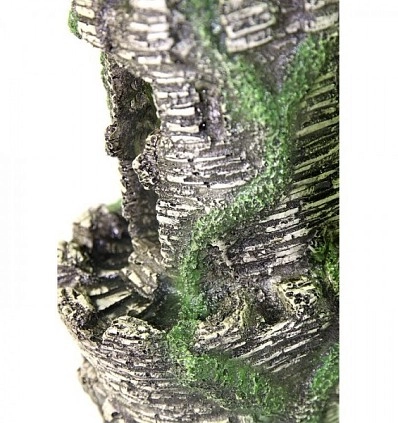 Фото_3