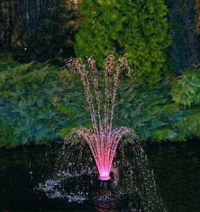 Фото_2