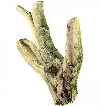 Фото_1