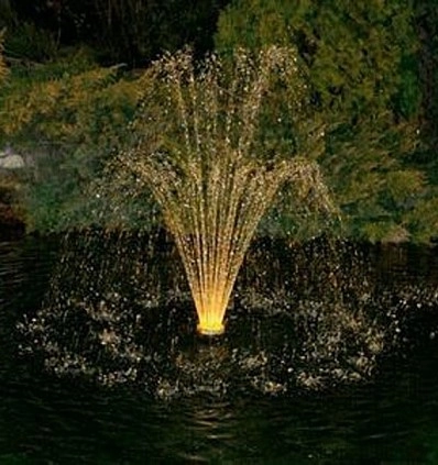 Фото_4