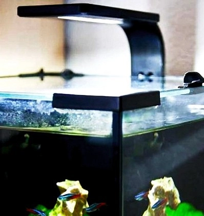 Фото_2