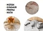 Мини_Фото_3