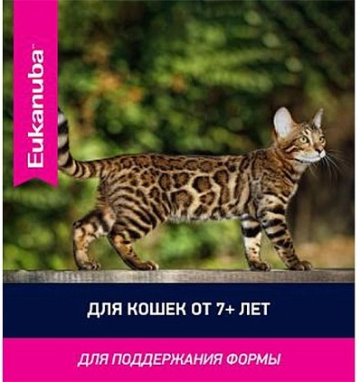 Фото_10