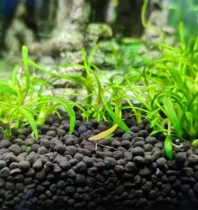 Фото_2