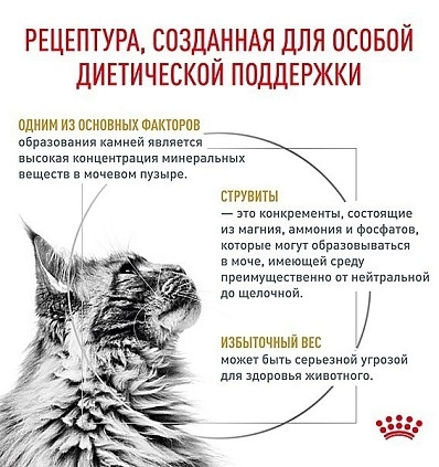 Фото_1