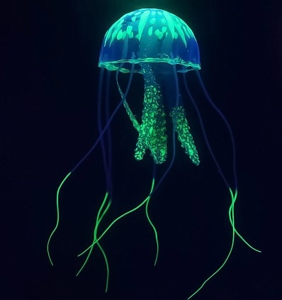 Фото_3