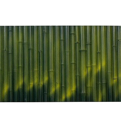 Фото_0