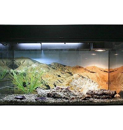 Фото_0