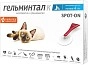 Мини_Фото_0
