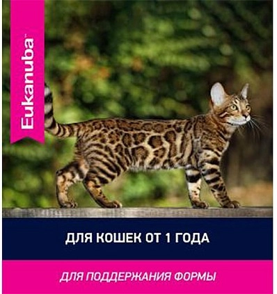 Фото_10